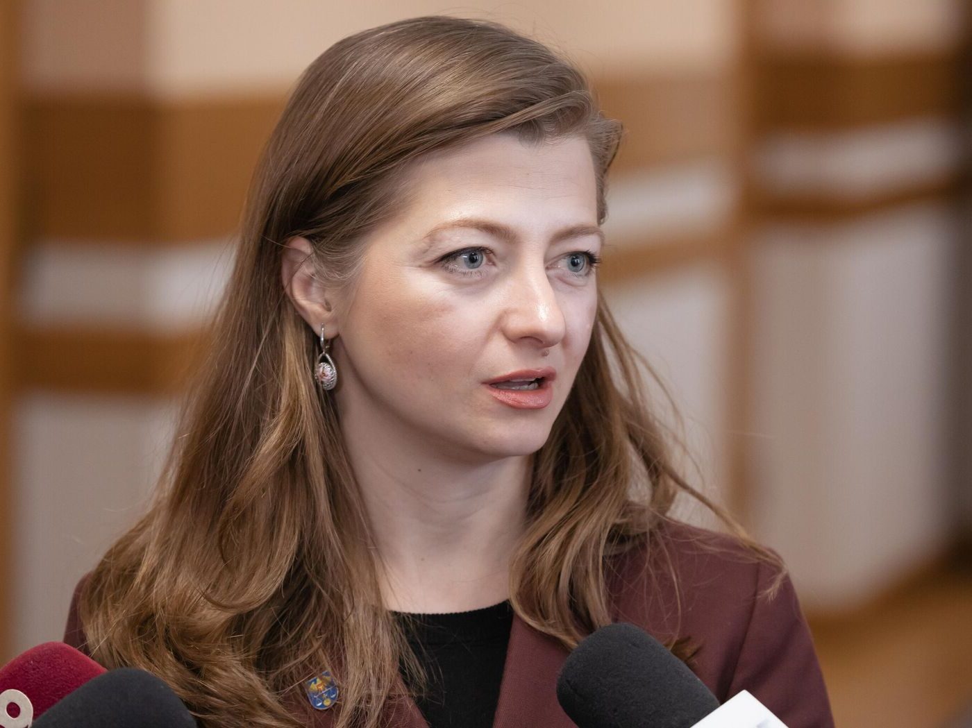 Veronica Mihailov-Moraru insistă: Votarea de către Parlament a celor șase membri noi ai CSM va debloca criza judiciară