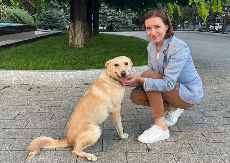 NO COMMENT | La plimbare cu Codruț. Maia Sandu, filmată cum își plimbă câinele prin curtea Președinției
