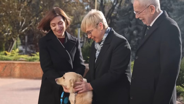 Câinele Maiei Sandu, Codruț, l-a mușcat de mână pe președintele Austriei 