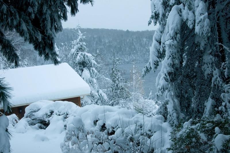 Iarna vine cu pași repezi în România! Cod portocaliu de ninsori abundente și viscol în mai multe județe de peste Prut
